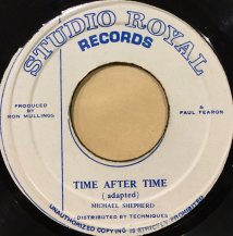 MICHAEL SHEPHERD / TIME AFTER TIME (USED)