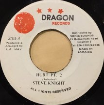 STEVE KNIGHT / HURT PT.2 (USED)