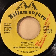 Ninja Man & Courtney Melody / PROTECTION (USED)