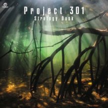 PROJECT 301 / STRATEGY