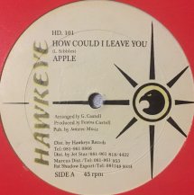 APPLE / HOW COULD I LIAVE YOU (USED)