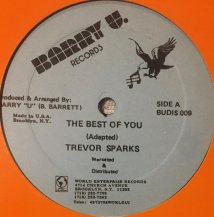 TREVOR SPARKS / THE BEST OF YOU (USED)