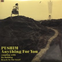 PUSHIM / Anything For You (USED)
