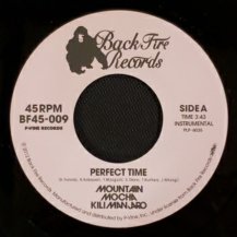 MOUNTAIN MOCHA KILIMANJARO / PERFECT TIME (USED)