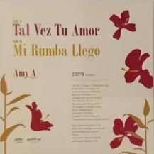 AMY A / TAL VEZ TU AMOR / MI RUMBA LLEGO (USED)