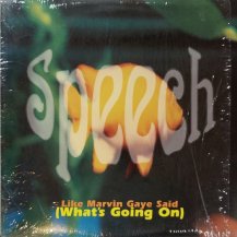 SPEECH / LIKE MARVIN GAYE SAID (WHAT'S GOING ON) (USED)