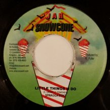 SPRAGGA BENZ / LITTLE THINGS YOU DO (USED)