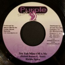 RICHIE SPICE / TEK YUH MINE OFF A ME (USED)