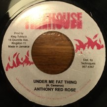 ANTHONY RED ROSE / UNDER ME FAT THING (USED)