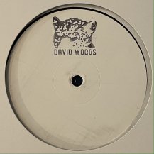 DAVID WOODS / ON THE GREEN ALONE EP (USED)