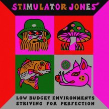 STIMULATOR JONES / LOW BUDGET ENVIRONMENTS STRIVING FOR PERFECTION -LP-