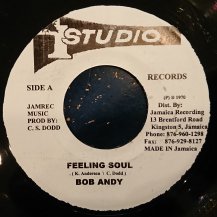 Bob Andy / Feeling Soul (USED)