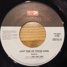 Sizzla [Just One Of Those Days / Why Should I] (USED)