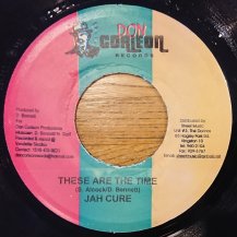 Jah Cure / These Are The Time (USED) 