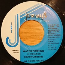 Johnny Osbourne / Water Pumping (USED)