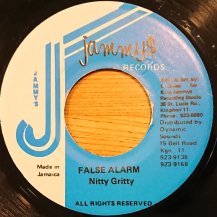 Nitty Gritty / False Alarm (USED)