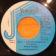 WAYNE PASSLEY / KILL A SOUND FI MONEY (USED)