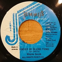 Wayne Smith / Under Mi Sleng Teng (USED)