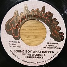 WAYNE WONDER & NARDO RANKS / SOUND BOY WHAT HAPPEN (USED)