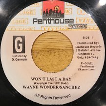 WAYNE WONDER & SANCHEZ / WON'T LAST A DAY (USED)