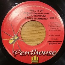 Buju Banton, Beres Hammond / Pull It Up (USED)