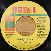 COCOA TEA / CAN NOT BE REAL (USED)