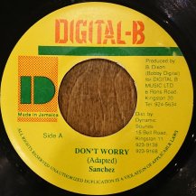 Sanchez / Don't Worry (USED)