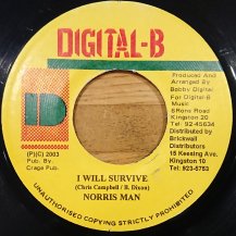Norris Man / I Will Survive (USED)