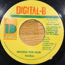 Sanchez / Missing You Now (USED)