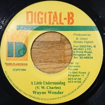 Wayne Wonder / A Little Understanding (USED)