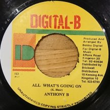 Anthony B / All What's Going On (USED)