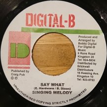 Singing Melody / Say What (USED)