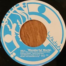 WADADA / WONDERFUL WORLD (USED)