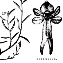 TARO NOHARA / POLY-TIME SOUNDSCAPES / FOREST OF THE SHRINE -LP-