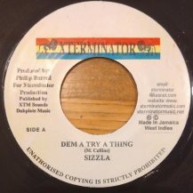Sizzla / Dem A Try A Ting (USED)