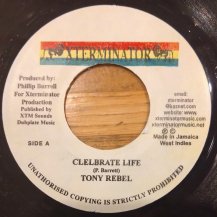 Tony Rebel / Celebrate Life (USED)