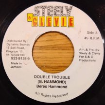 Beres Hammond / Double Trouble (USED)