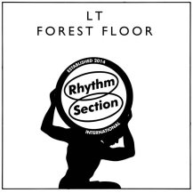 LT / FOREST FLOOR