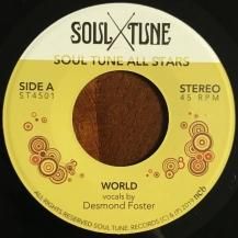 SOUL TUNE ALLSTARS / WORLD / NATURAL FEELING