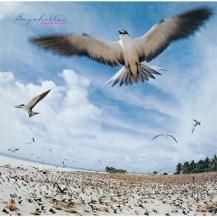  / SEYCHELLES -LP-