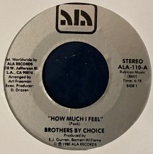 BROTHERS BY CHOICE / HOW MUCH I FEEL / SHE PUTS THE EASE BACK INTO EASY (USED)