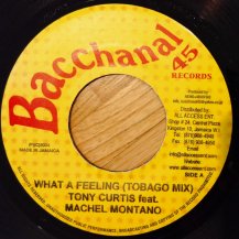 Tony Curtis Feat. Machel Montano / What A Feeling (USED)