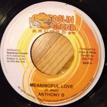 Anthony B . Floyd West / Meaningful Love . These Days (USED)