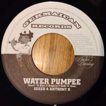 Seed & Anthony B / Water Pumpee (USED)