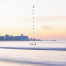 ڤ󤻾ʡbird / ƤΥ饯