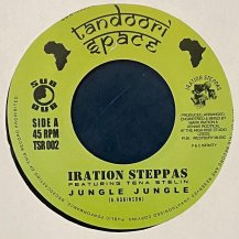 IRATION STEPPAS / JUNGLE JUNGLE (USED)