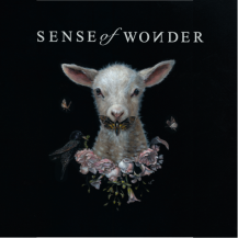 ڤ󤻾ʡSENSE of WONDER / Sense of Wonder