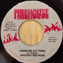 Anthony Red Rose / Under Mi Fat Thing (USED)
