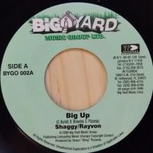 SHAGGY & RAYVON / BIG UP (USED)
