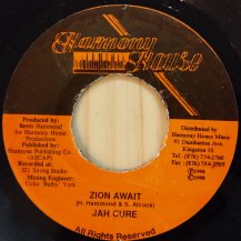 Jah Cure / Zion Way (USED)